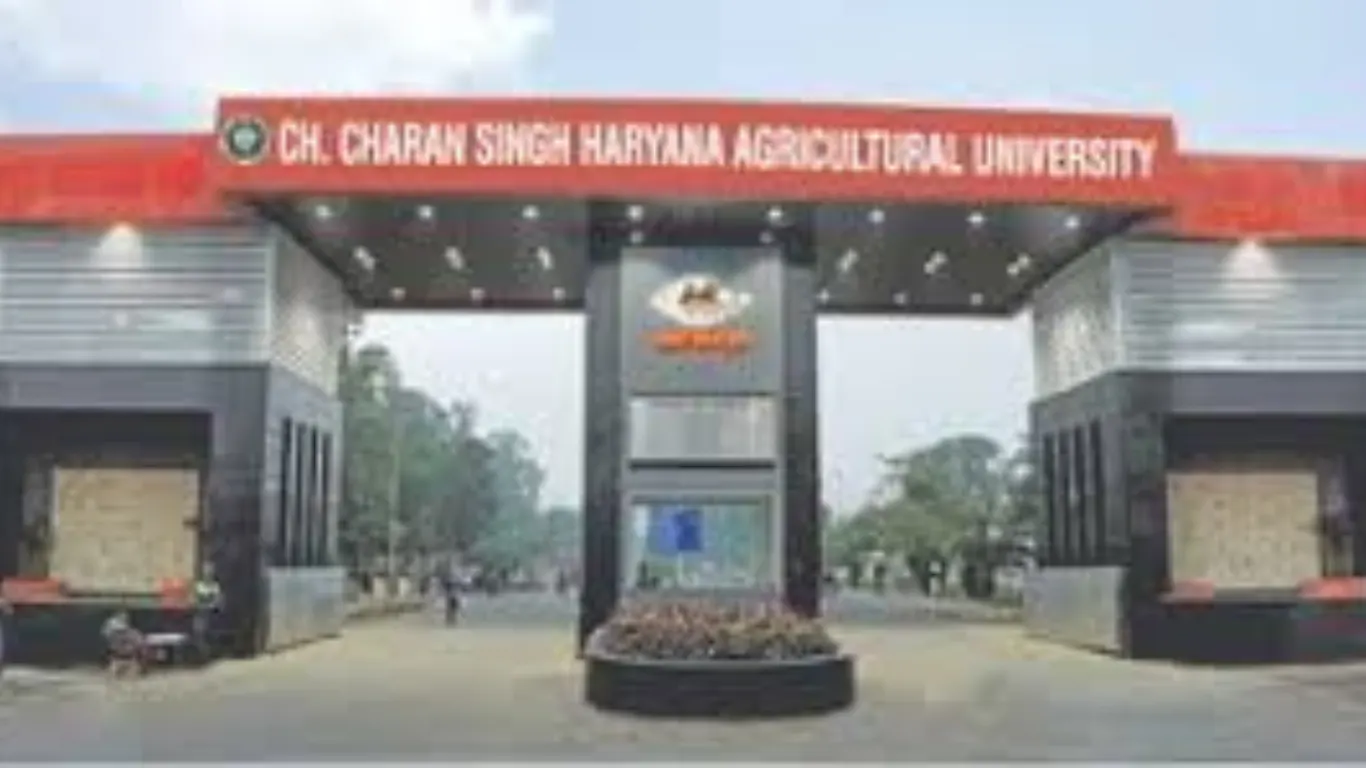 Best Areas for Students in Hisar